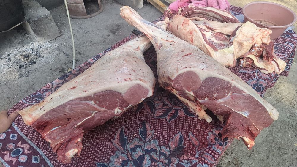 Семиз жылкылар бар