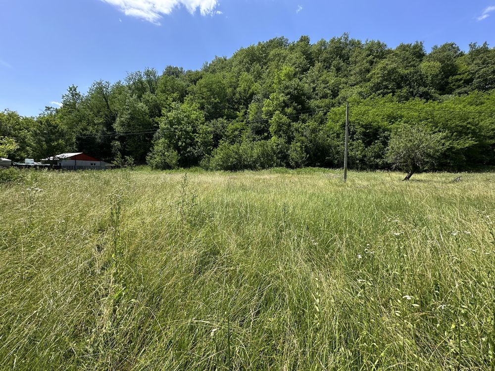 Teren intravilan de vanzare Furcsoara