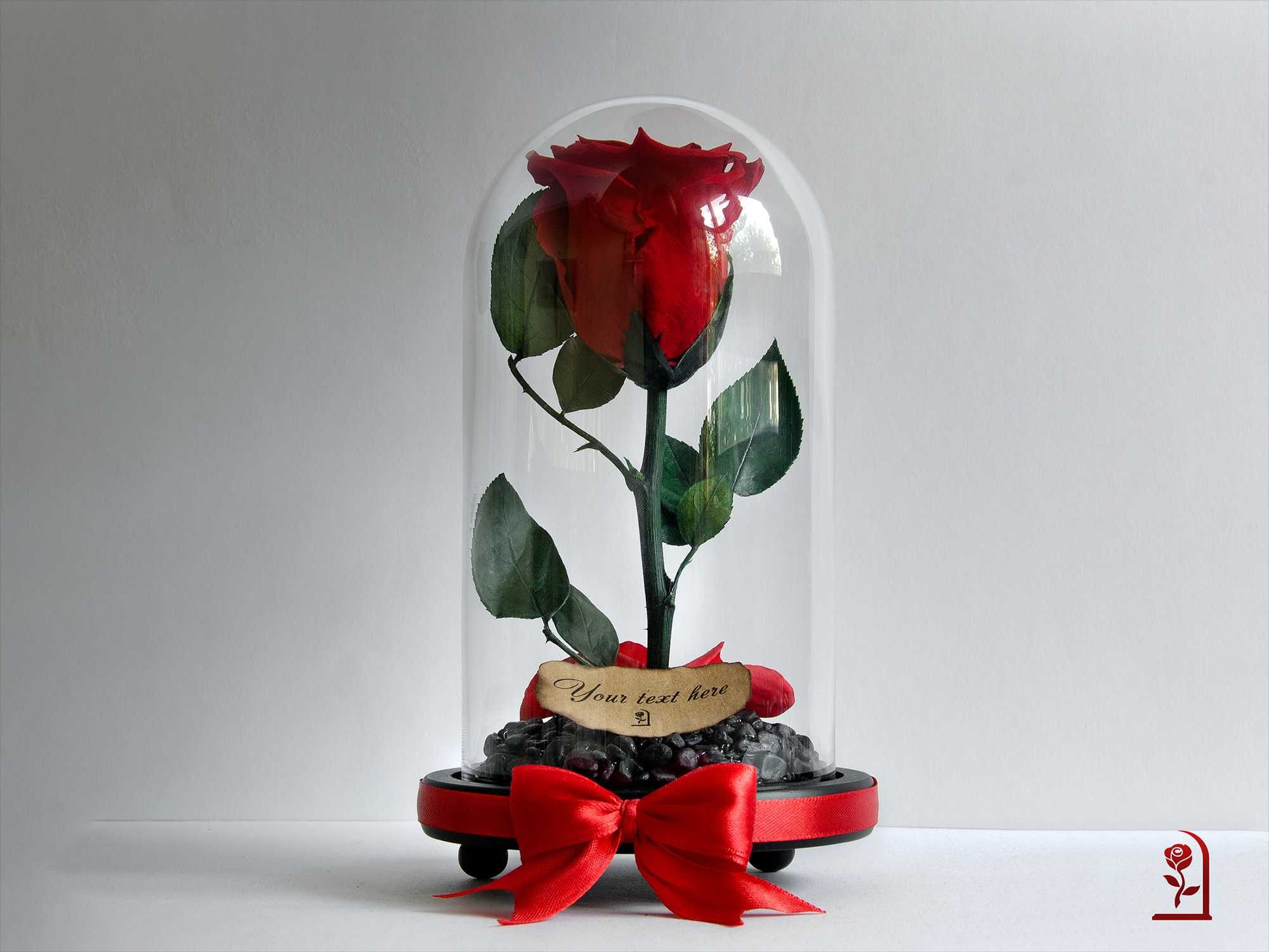 ЕСТЕСТВЕНА Вечна Роза в Стъкленица /  Подарък за Годишнина от Сватбата