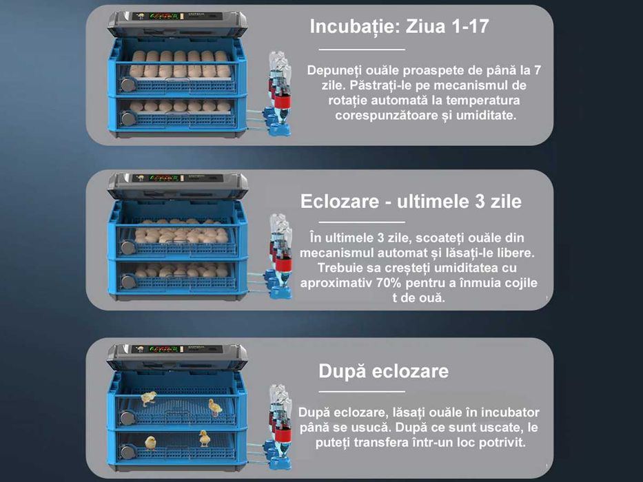 Incubator automat SMART pentru 24 de ouă
