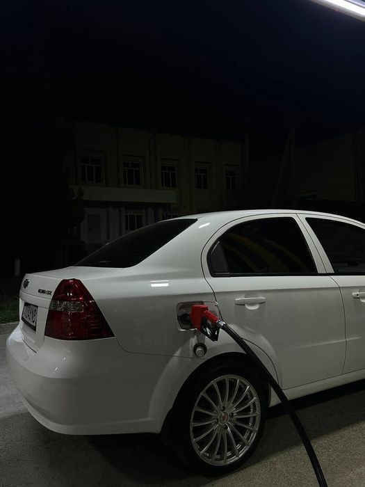 17 vossen diska balon