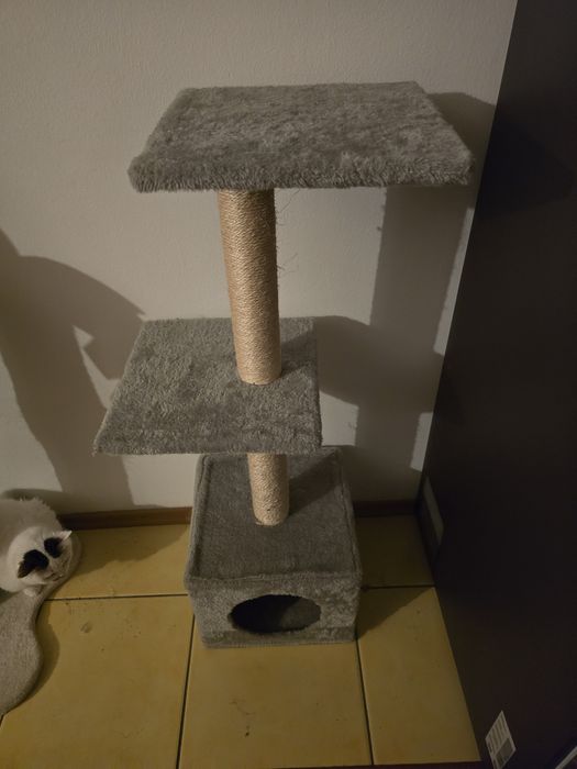 Ansamblu pisici (culcuș pisici)