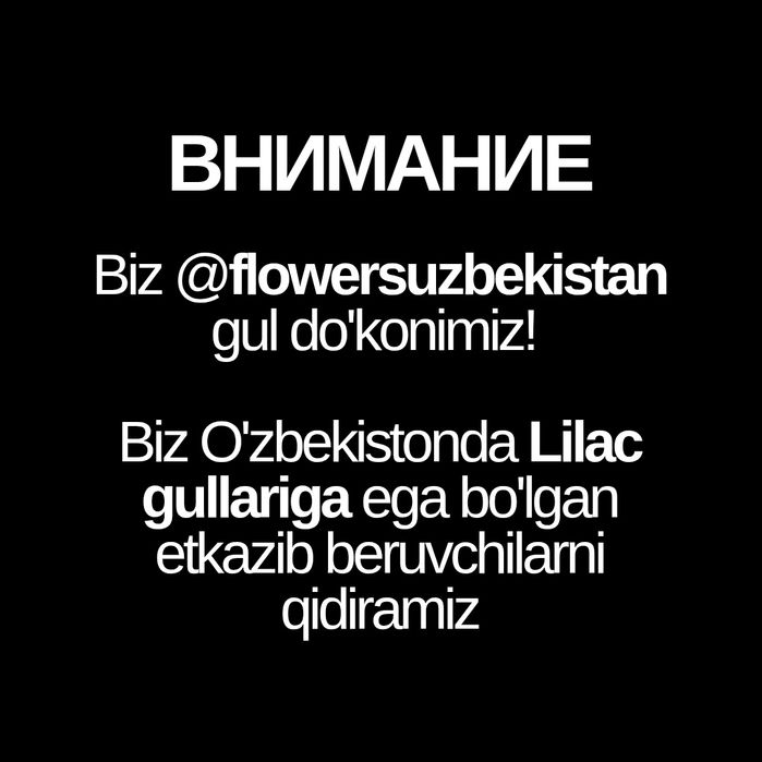 Сирень отпом для flower's Uzbekistan