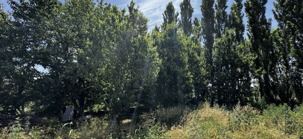 Bog'ishamol Yo'l bo'yiga yaqin 8-Sotix Yer Sotiladi. Йер Сотилади.