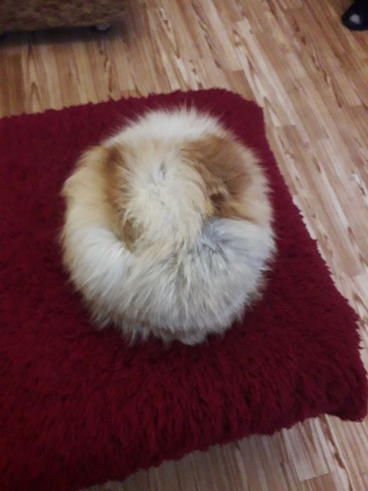 Дамска шапка от лисица