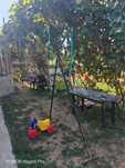 Vând Catapultă (Afet)
