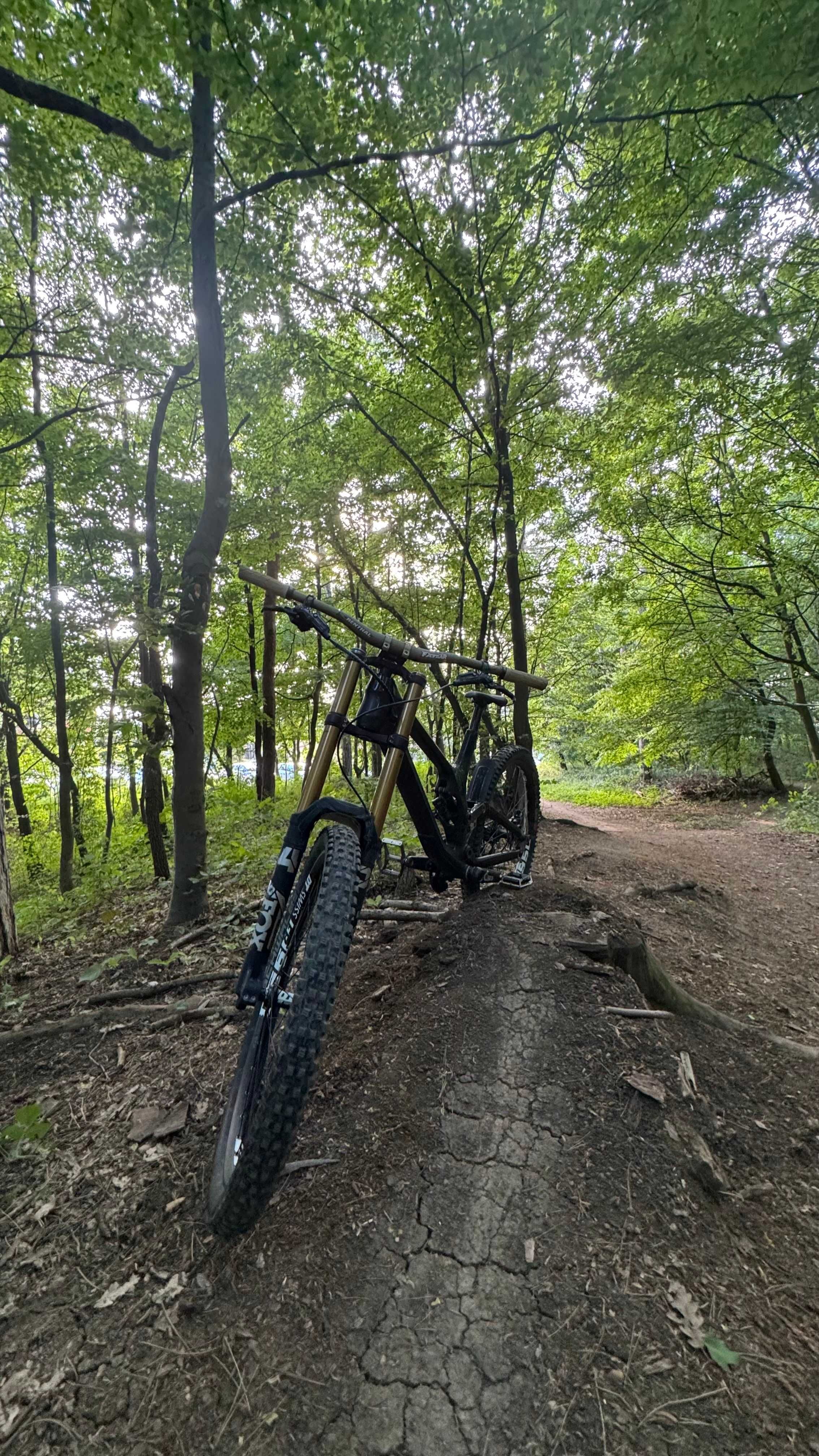 Bicicleta DownHill Canyon Sender CF 9.0, Cadru Marimea XL, FULL FOX