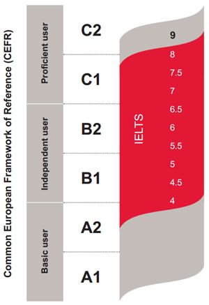 Репетитор английского языка / ielts