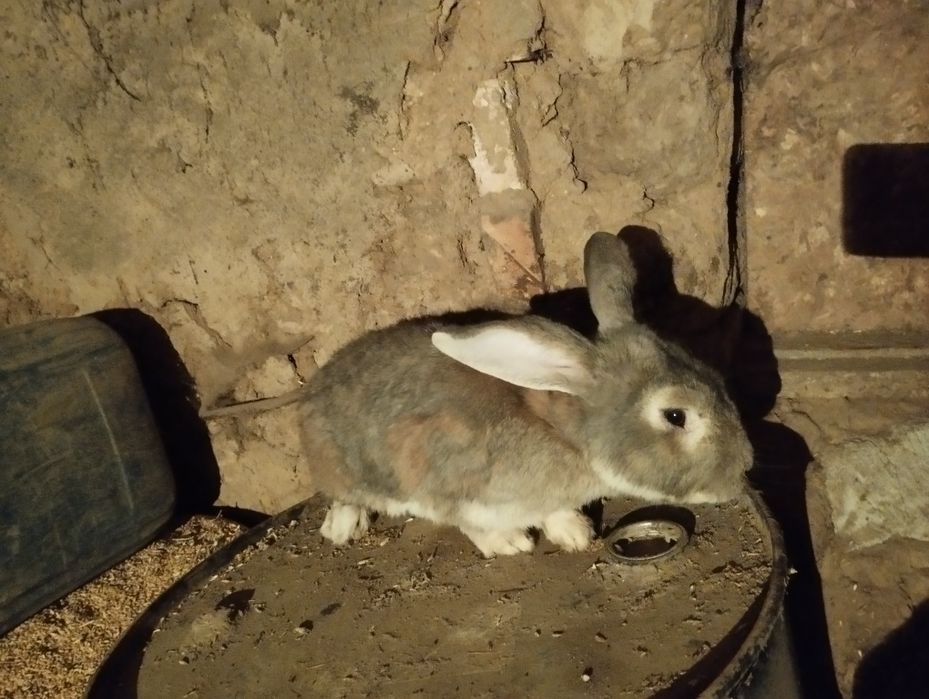 2025 Казахстан 2026