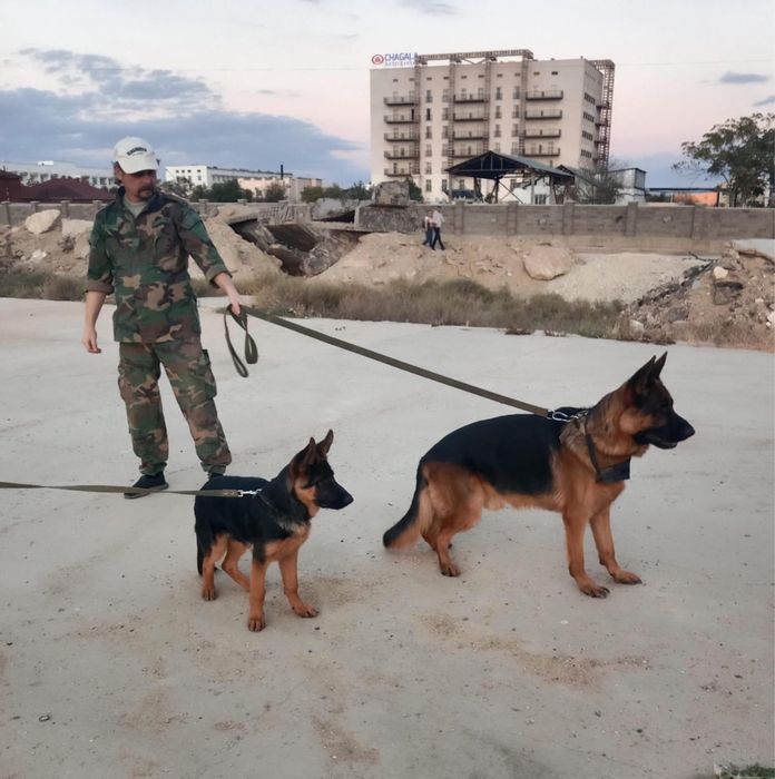Продается Щенки! НО