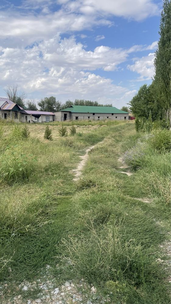 Участок для сельхоз бинеса