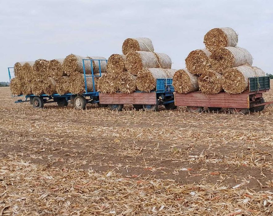 Vand baloti Tocatura de porumb (tulheni)