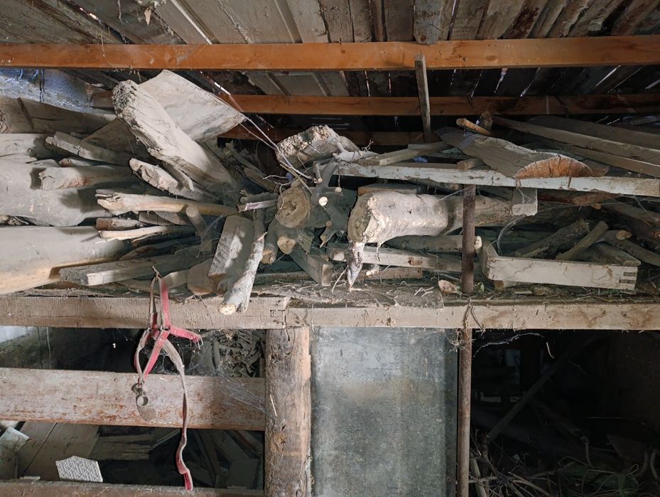 Utinlar bor tezda sotiladi kelib kurib keyin kelishamiz