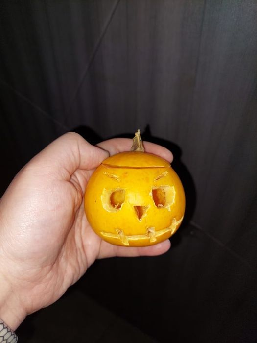 Тыквы для декора и поделок