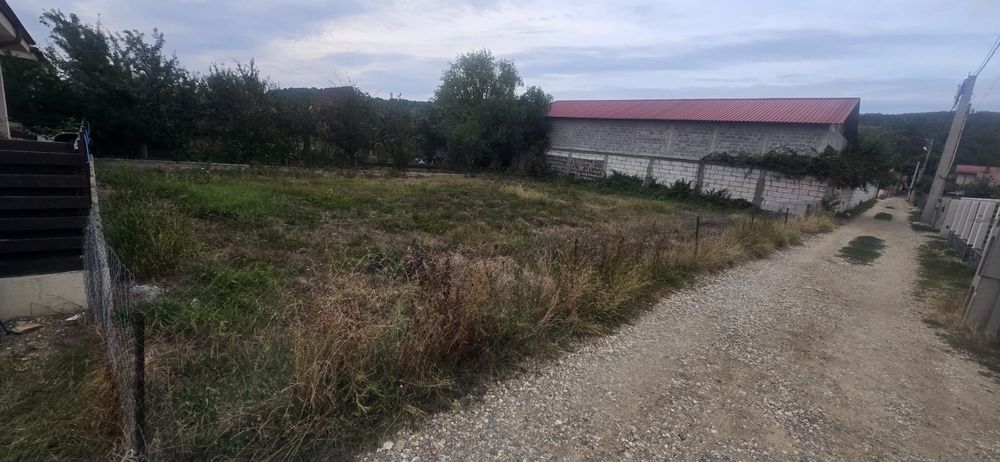 Teren Stefanesti 3km de Pitesti