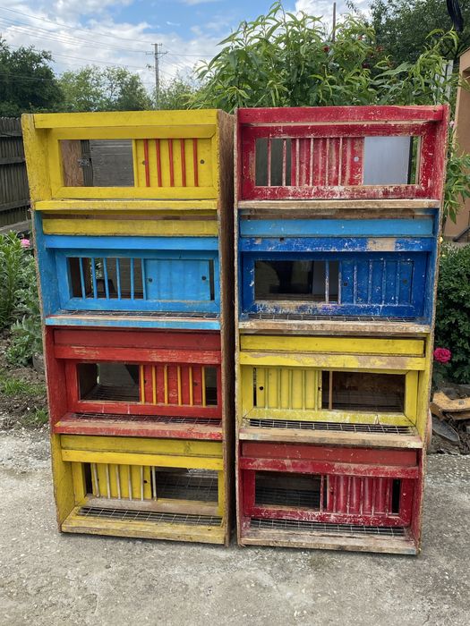 Boxe potumbei de vanzare