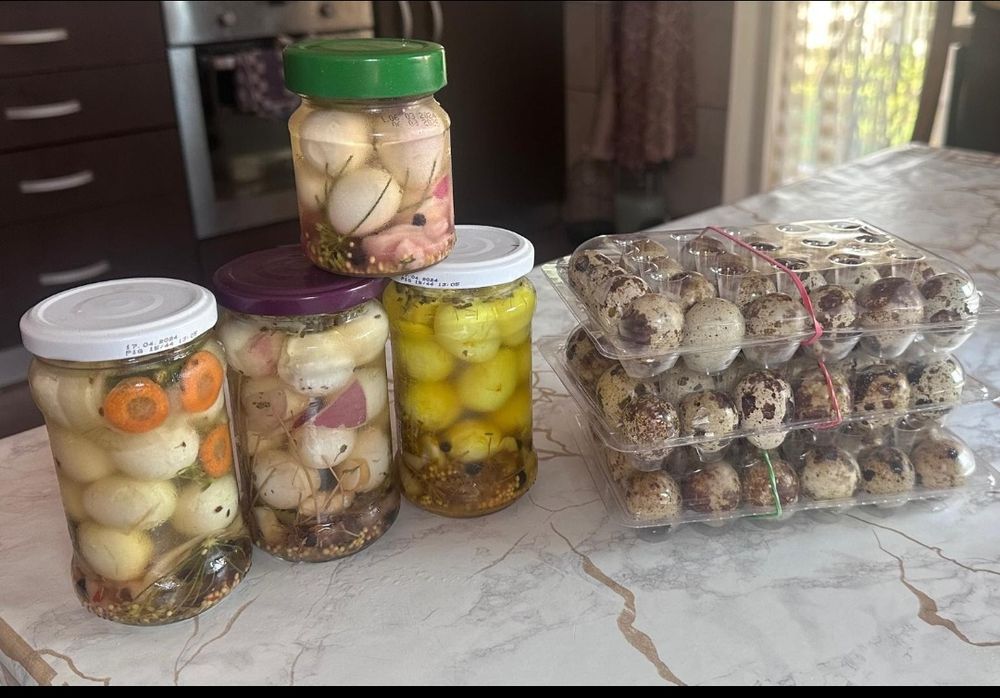 Vând Prepelite și oua proaspete și murate.