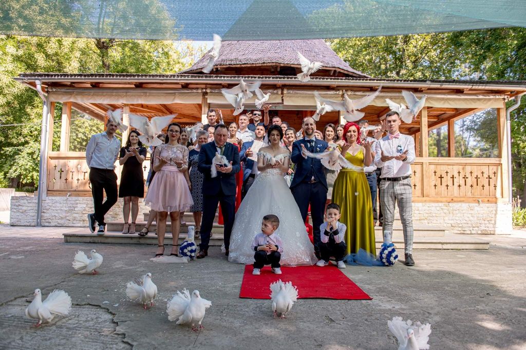 Porumbei albi pentru nuntă