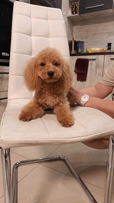 Коледна промоция