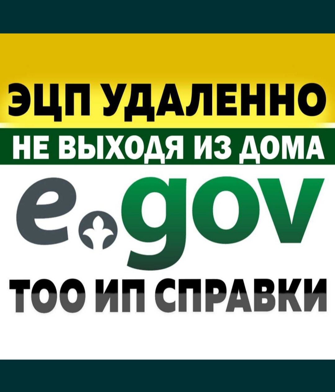 Субсидия, Жұмыссыздық выплата, ЭЦП ашу, ЕГОВ услуги онлайн удаленно