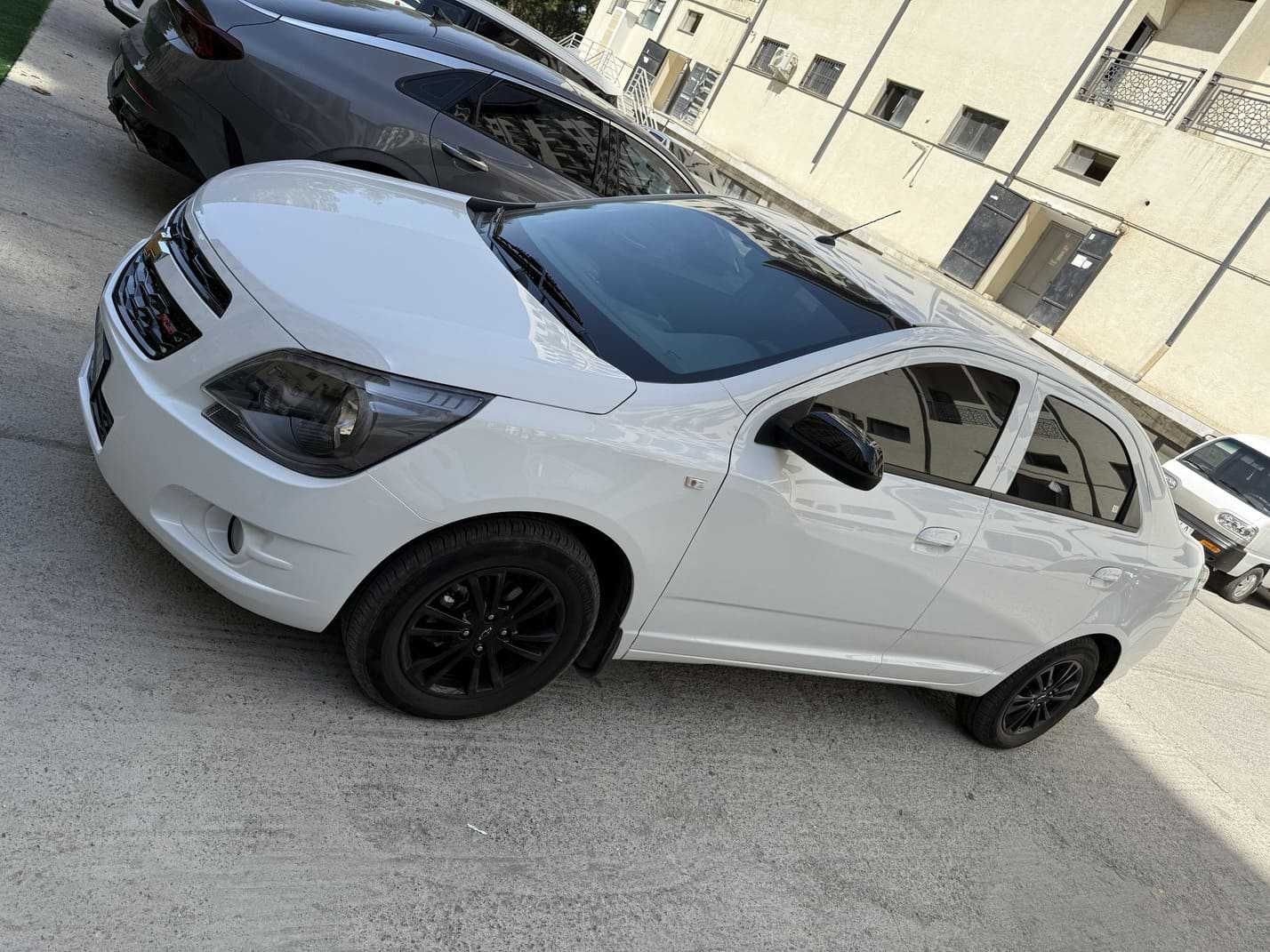 Cobalt Midnight 2025