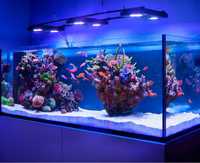 Akvarium na zakaz Aquashop