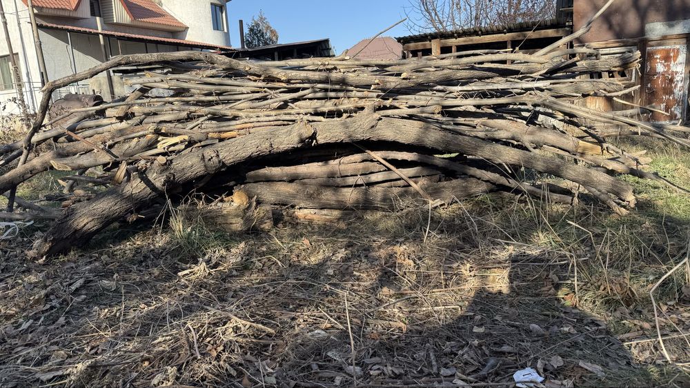 Дрова готовая и сухоя