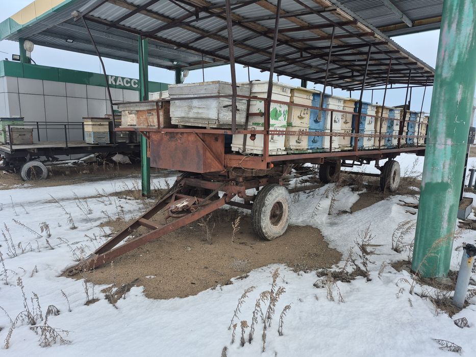 Пасика для пчёл с ульями