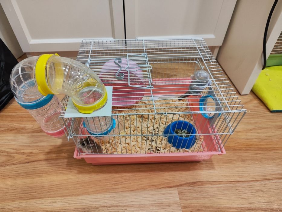 Клетка за хамстери