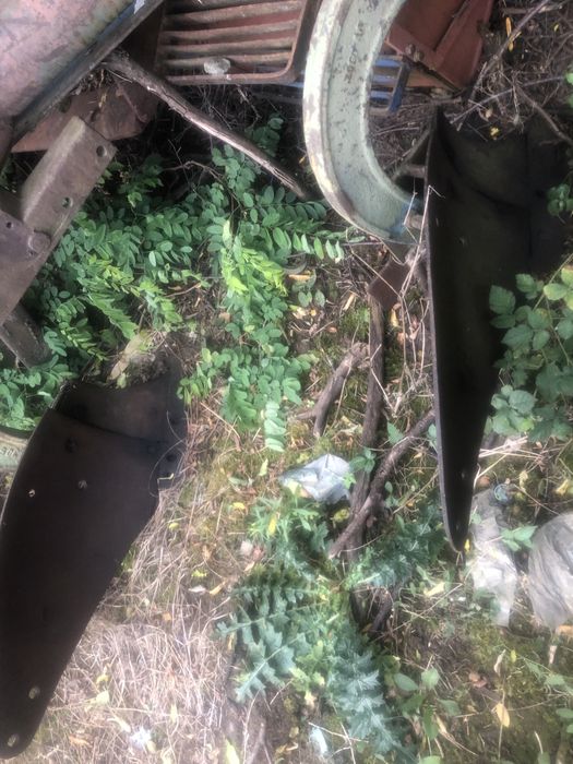 Plug cu doua trupite romanesc