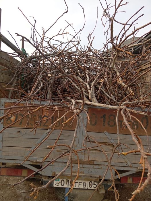 Дрова. Отын. Ағаш. 1 газель. С доставкой