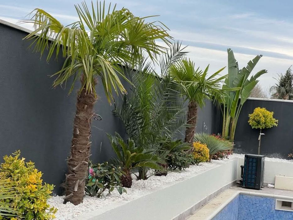 Piatra Cubică, Plante Naturale, Gazon – Totul la Cheie!