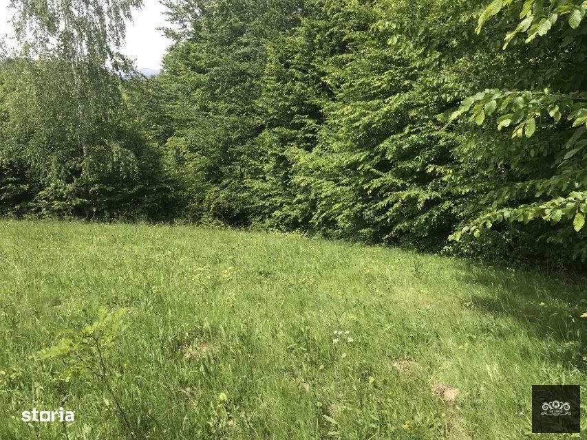 Vand teren in Albestii de Muscel faneata-pasune, partial impadurit