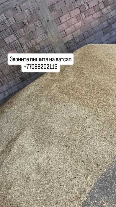 Все виды корма для животных