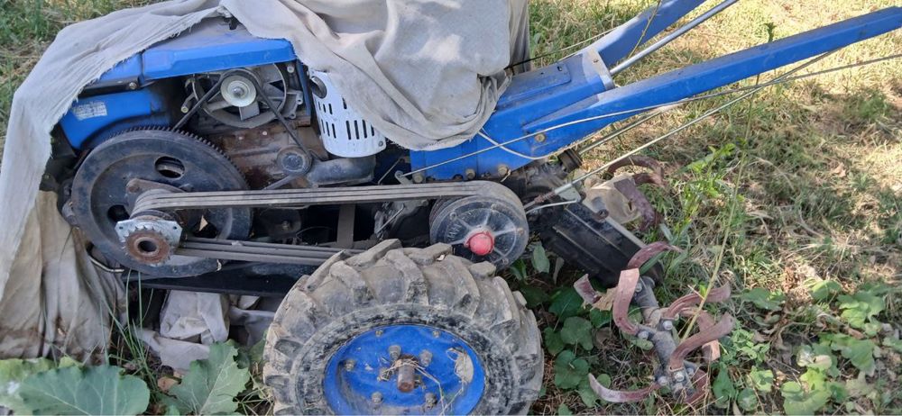 traktor mini b/u qogani telda