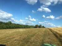 Vând  ferma Angus cu teren agricol pășune fânețe 50 ha.intr o parcela
