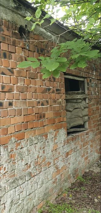 Vand casa cu teren la Dunare Berzasca