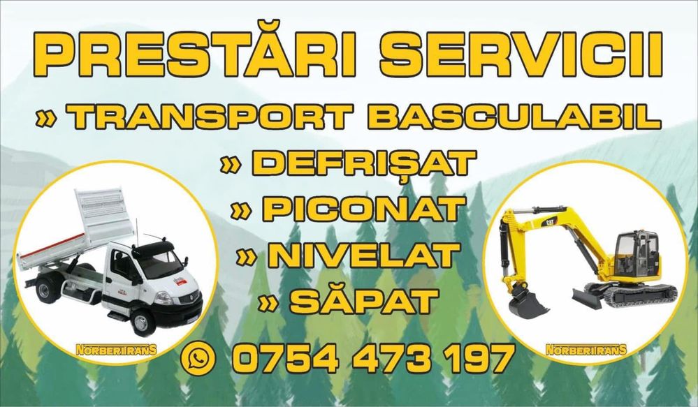 Inchirez Miniexcavator si Basculabila Piconat Sapat Nivelat Transport