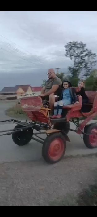 De vânzare trăsura sau schimb cu vitei