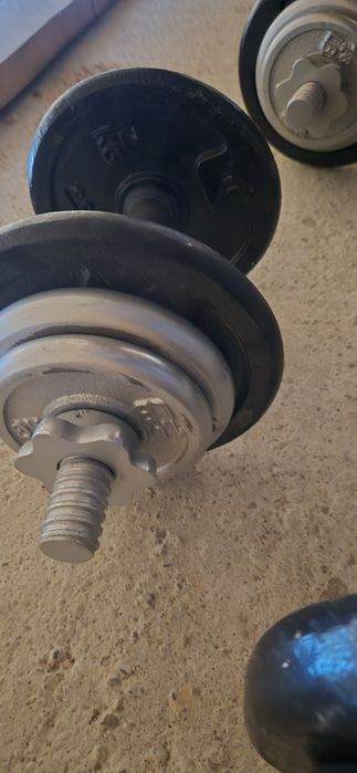 Haltere si gantere de vazare