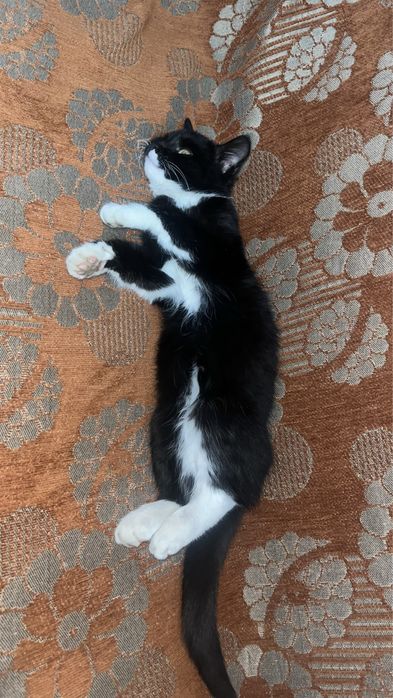 Жаксы карайтын адамга берем