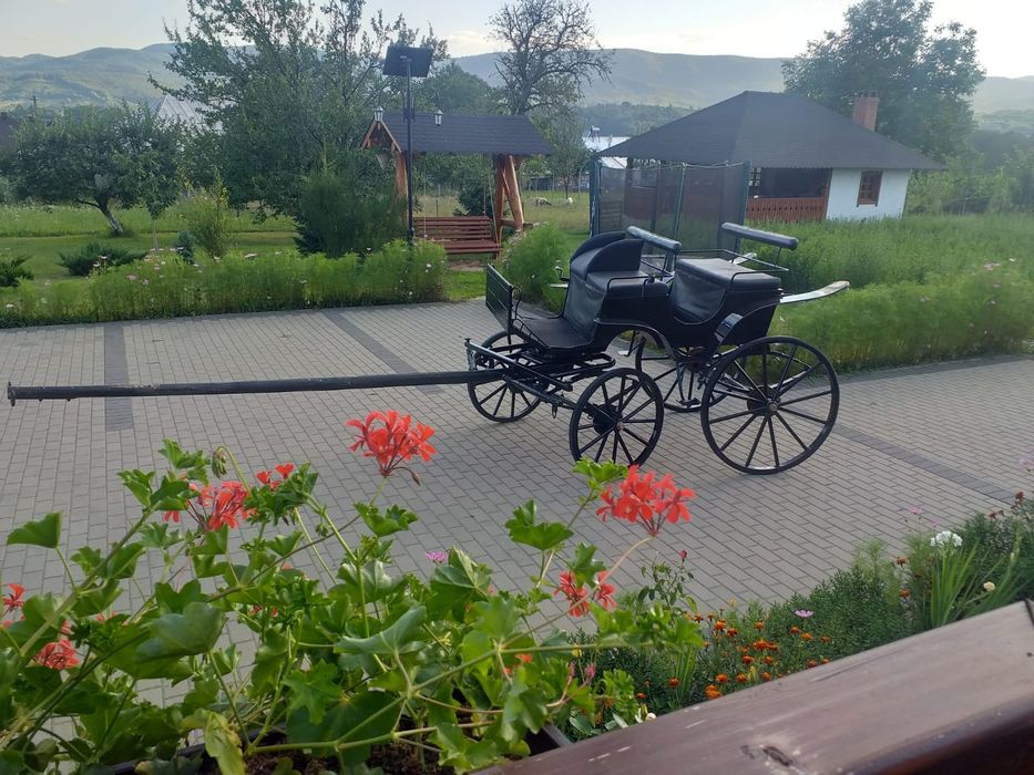Vand caleasca fabricata in Ungaria