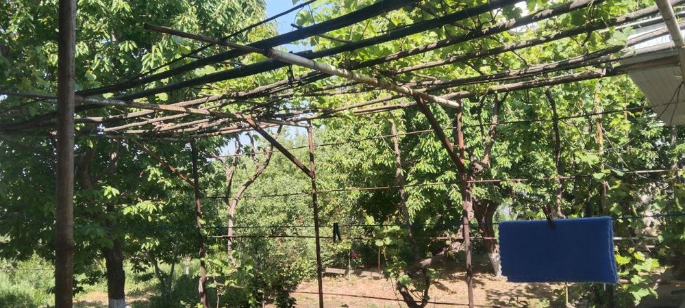 Продам срочно участок в ЧарвакБурчмулла