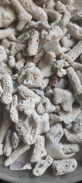 Коралловая крошка (коралловый грунт)