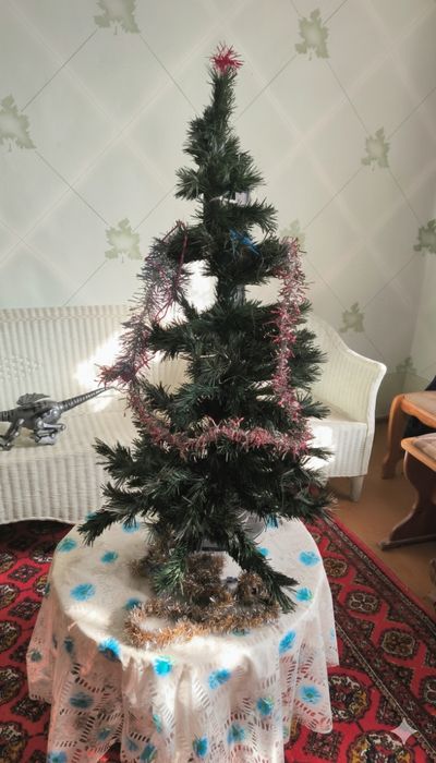 Большая и маленькая ёлка