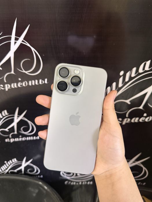 15 про мах 256 гб