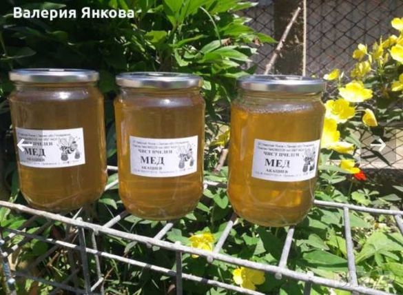 Акациев мед - нова реколта 2022 г