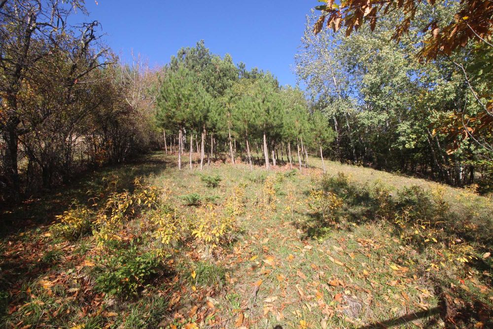 Продава се Къща в с. Дебел дял, Област Габрово - 72 кв.м за 1382 €/кв.м - Снимка #18