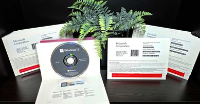 Windows 11 Home / Professional OEM DVD Пакет (ПРОМО до 30.04.2024)