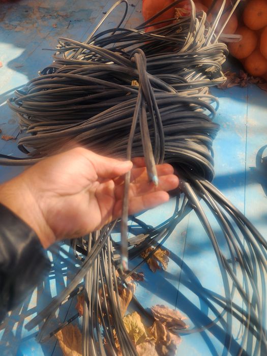 Zyxel svich sotiladi kamplekt kabillarixam sotiladi